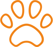 Seguro de Mascotas